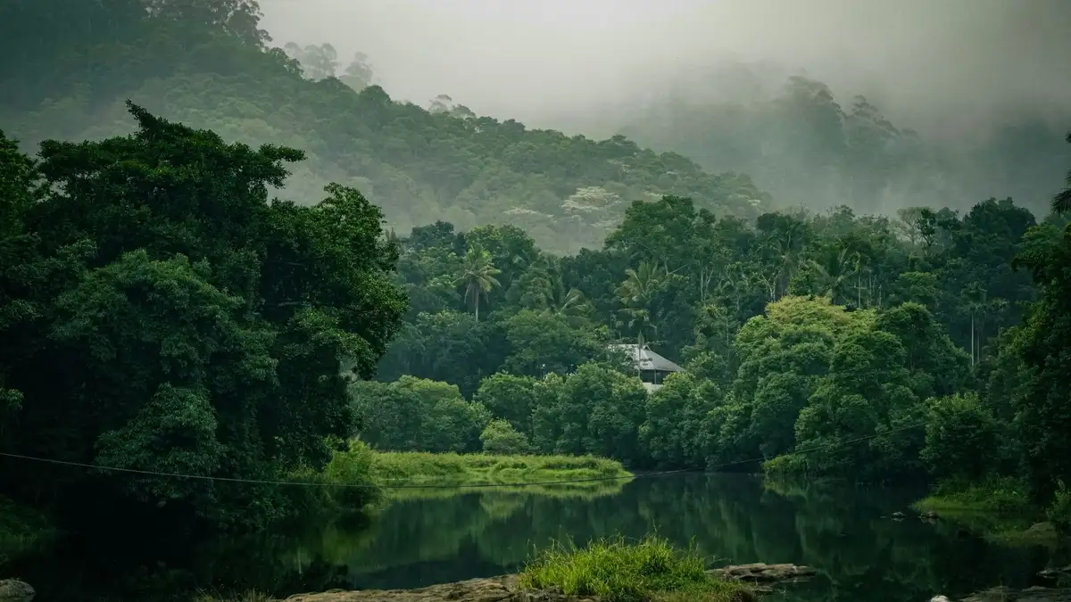 Why Thekkady Is a Great Destination for a Family Holiday